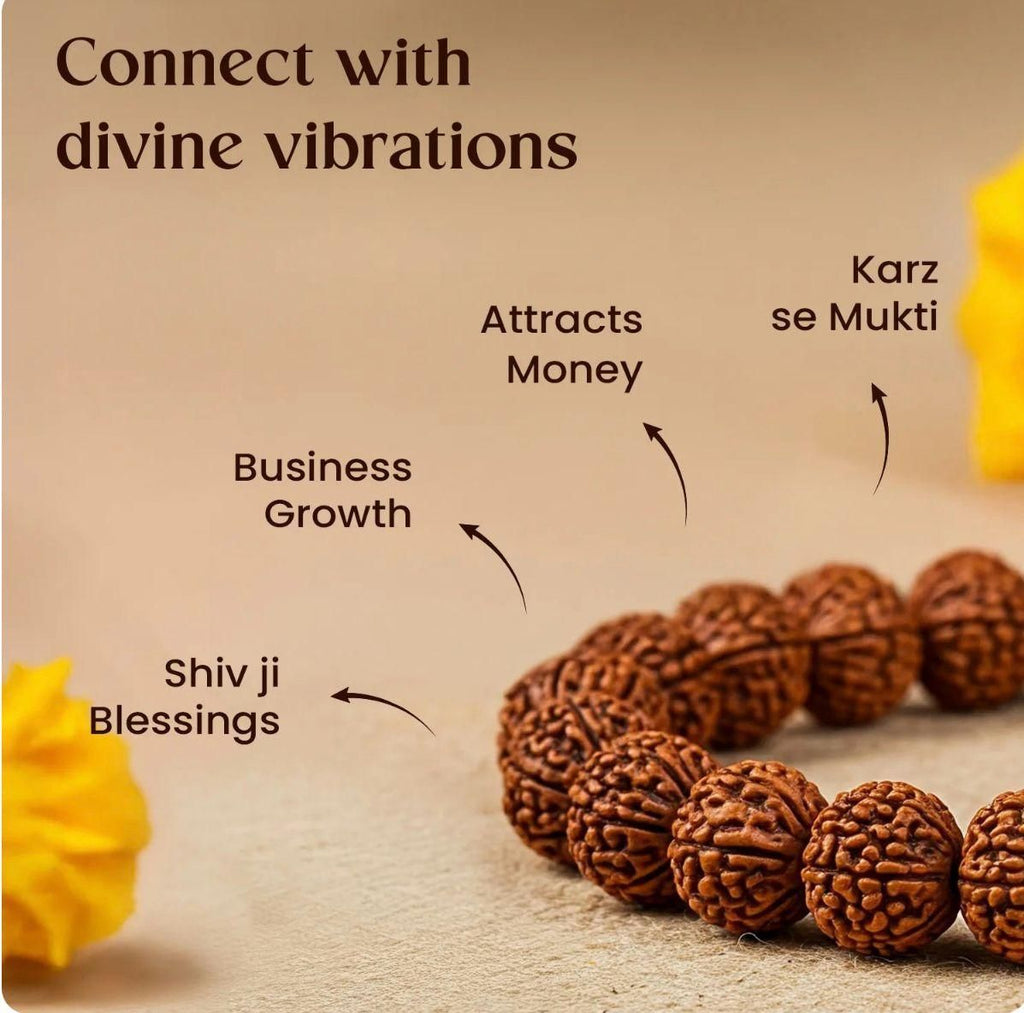 7 Mukhi Rudraksha Healing Bracelet