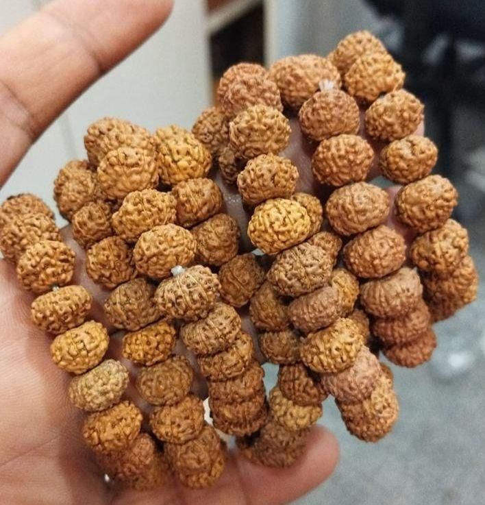 7 Mukhi Rudraksha Healing Bracelet